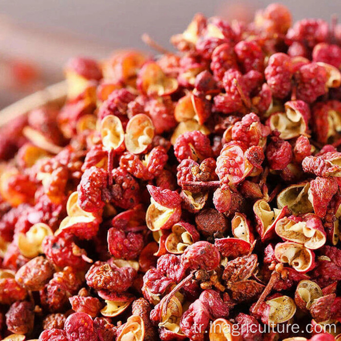 Kuru biber biber baharat sichuan baharat